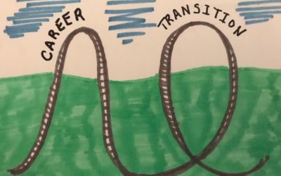 The Career Transition Roller Coaster – 4 Simple Steps to Smoothing Highs and Lows, Episode 1